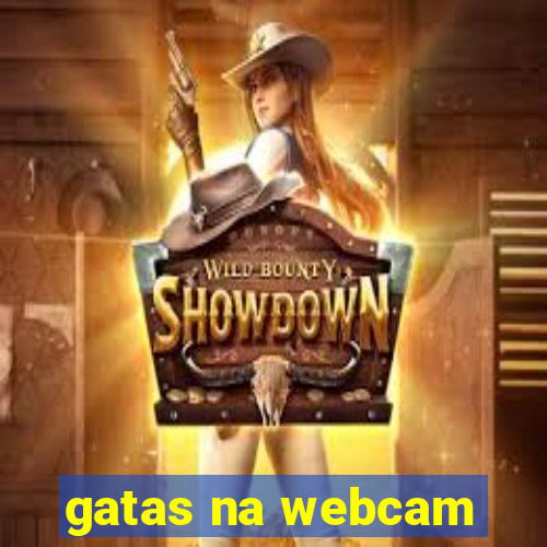 gatas na webcam